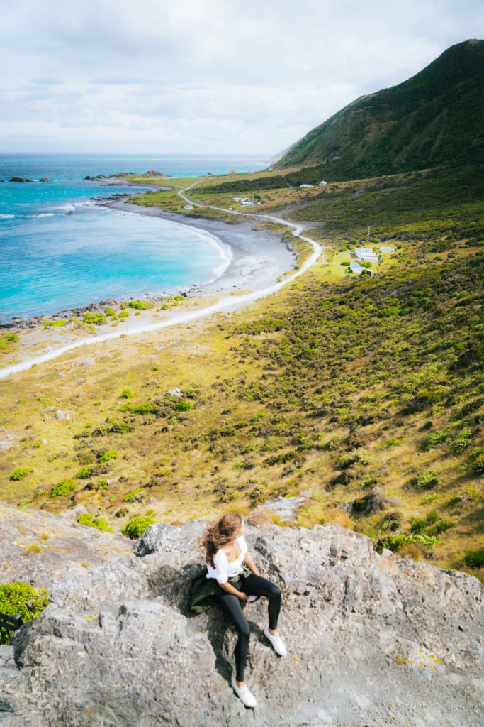 Looking along the Palliser Bay coast from the hills above Cape Palliser