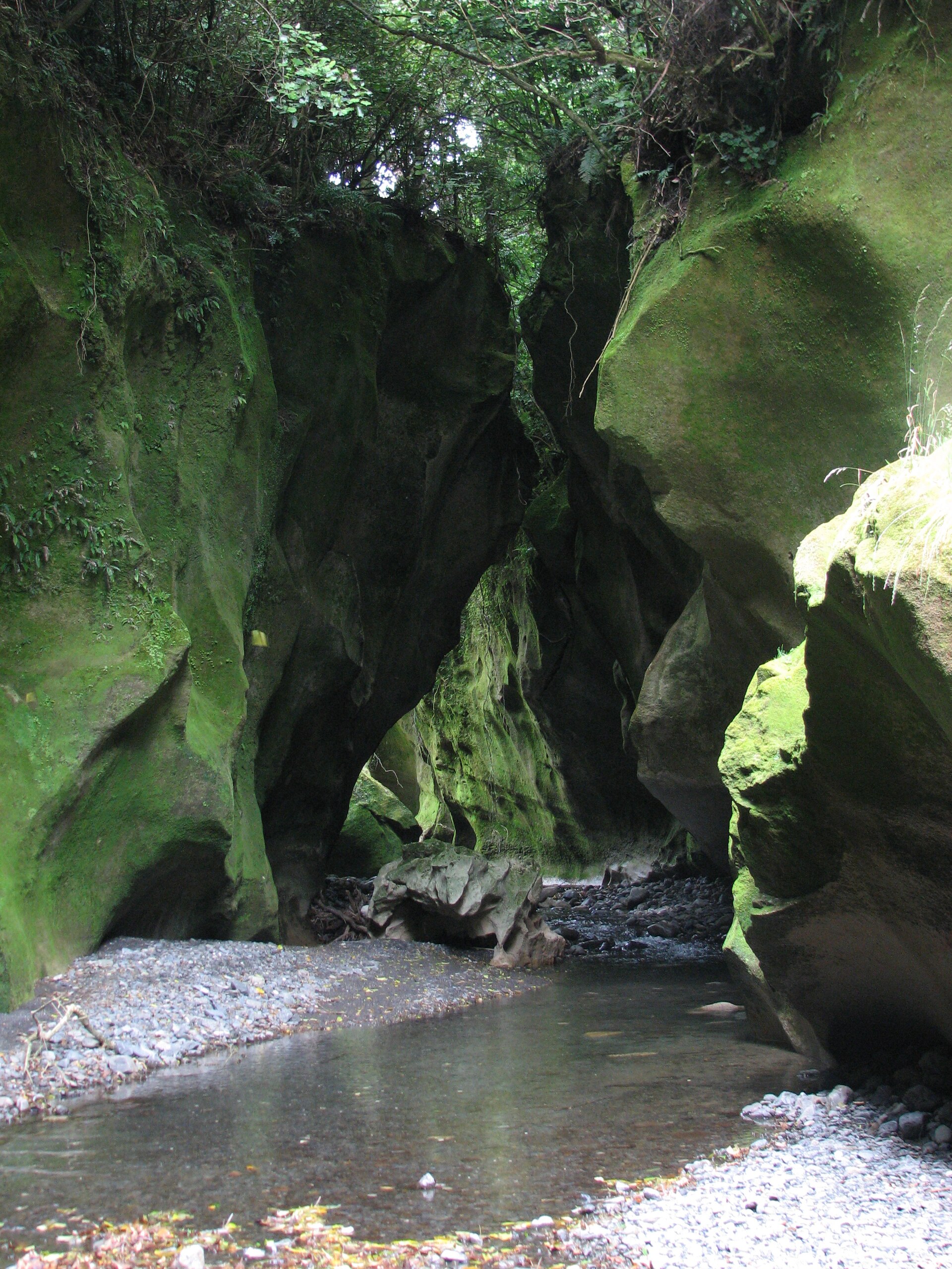 Limestone walls of Patuna Chasm near Martinborough
