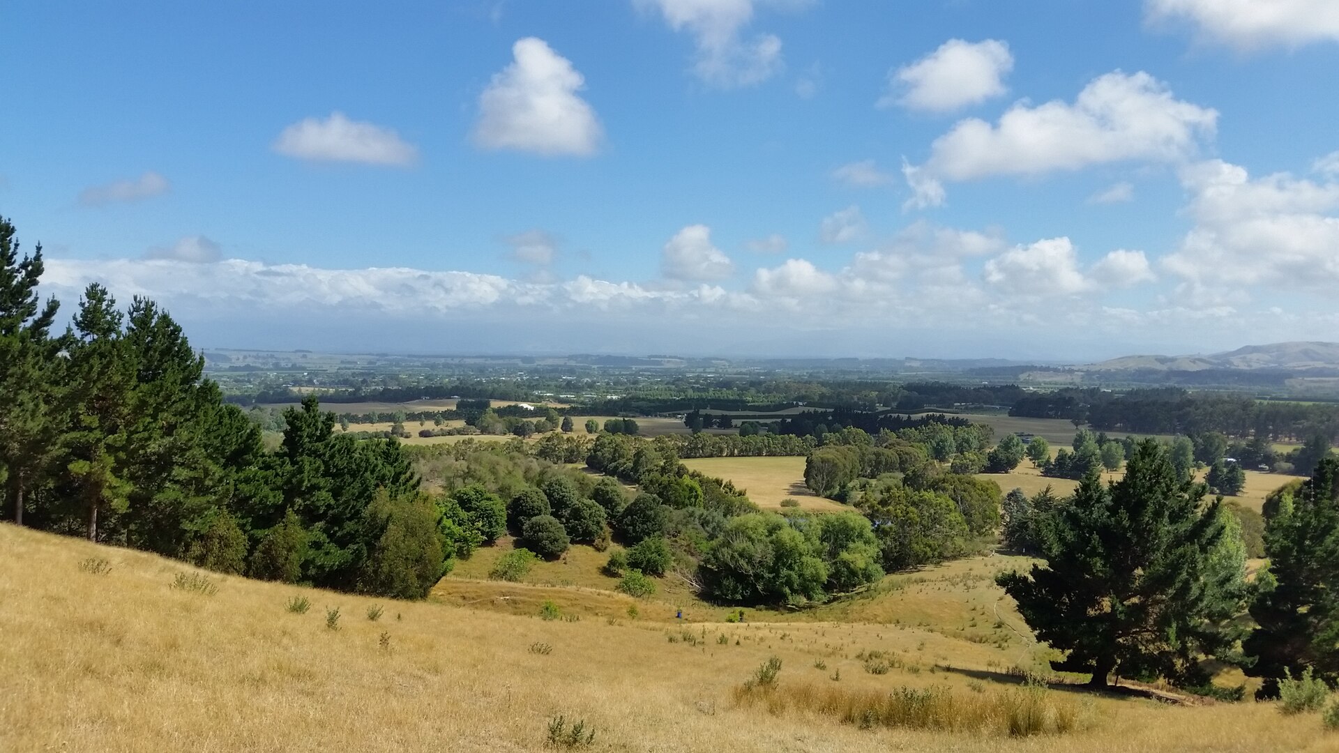 Farmland and hills seen from Rapaki, above Martinborough