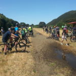 AOTEAROA/ NZ EXPLORER TOURS
