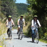 Wellington Cycle Tours and Hire