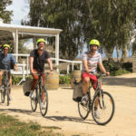 WAIRARAPA EXPLORER TOURS