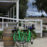 MARTINBOROUGH CYCLE HIRE & TOURS