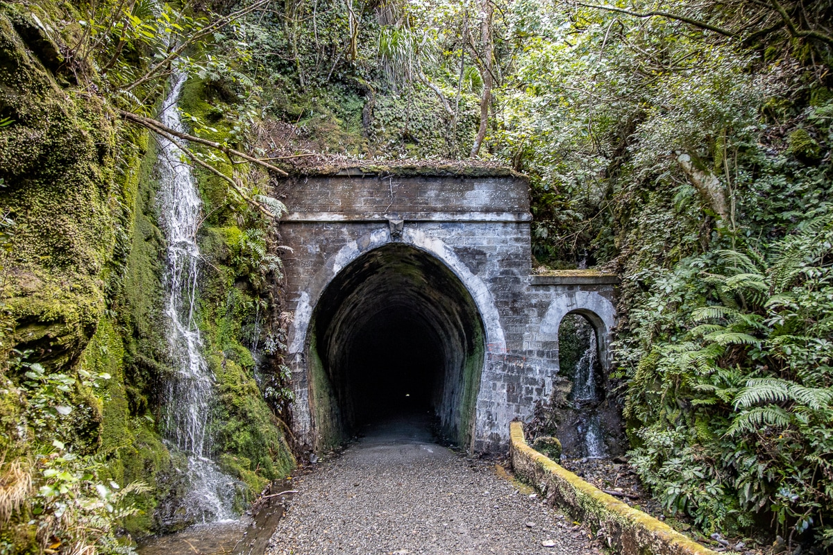 Remutaka Highlights 2 Days Green Jersey Explorer Tours
