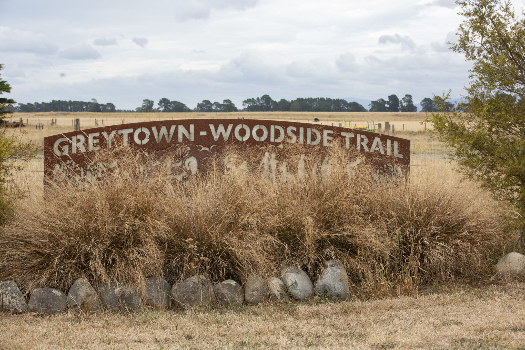 Top Wairarapa Rides 10 GreytownWoodside Trail Green Jersey Explorer