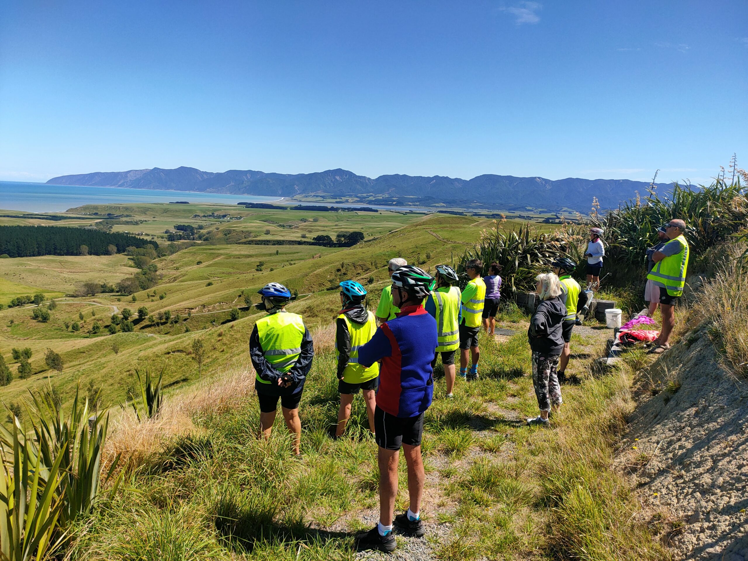 Remutaka Cycle Trail Green Jersey Explorer Tours Martinborough Cycle Hire