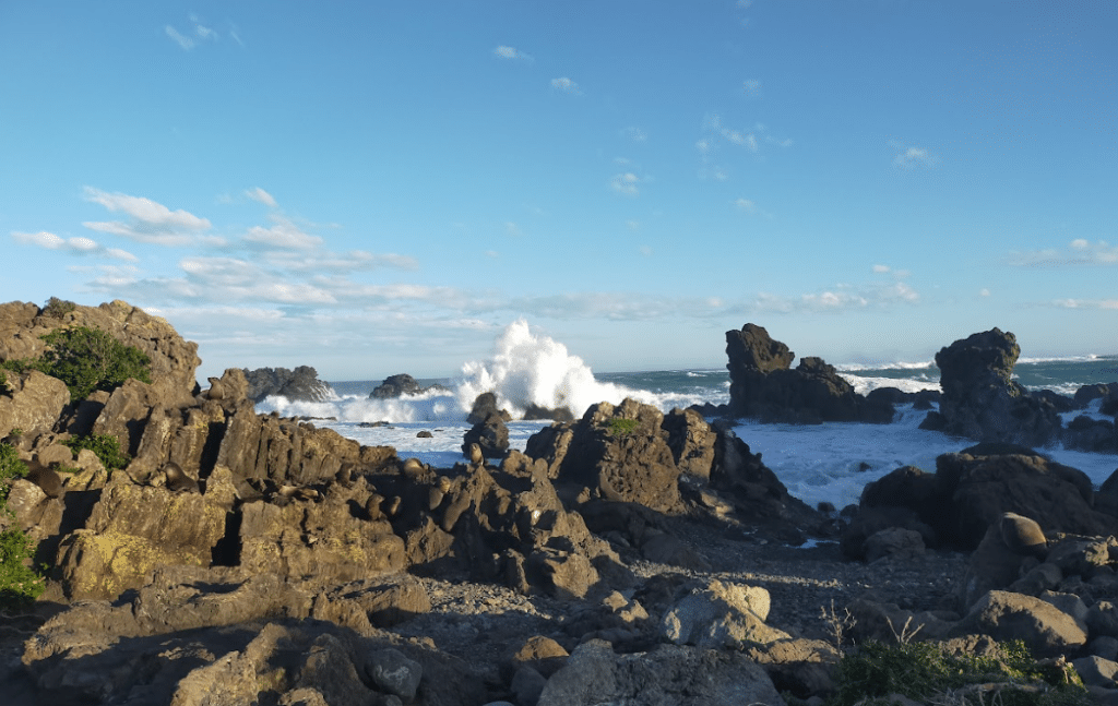 Riding the Breathtaking Coastline A Love Affair with New Zealand's