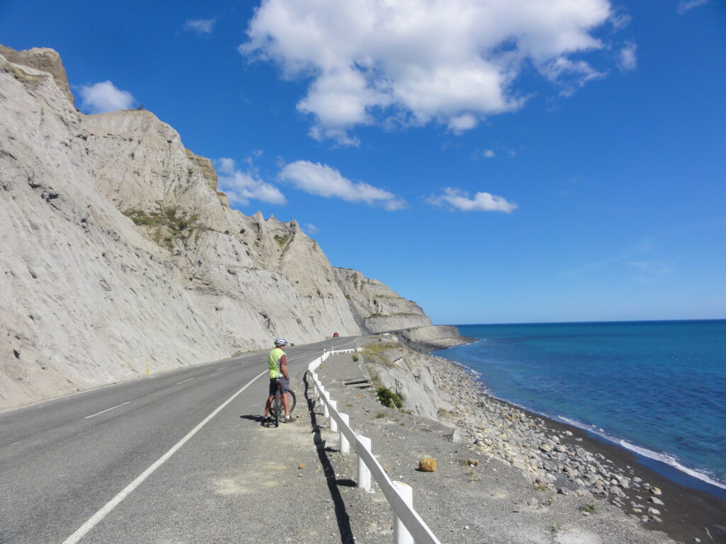 Palliser Coast Cliffs